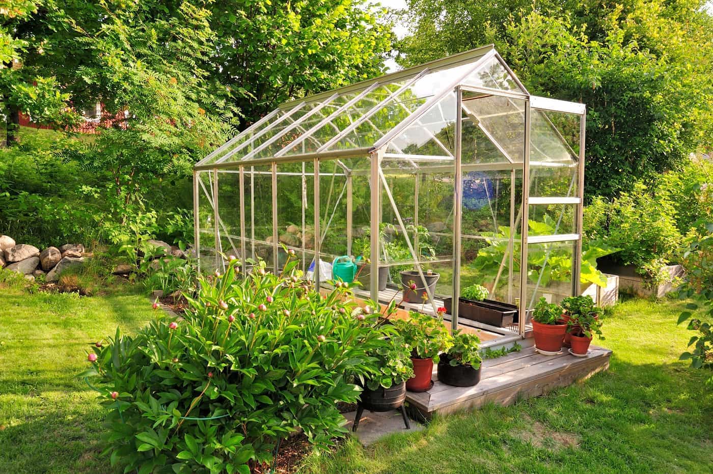 Residential glass greenhouse with aluminum frame in lush garden setting - Custom greenhouse installation by KC Greenhouse Builders