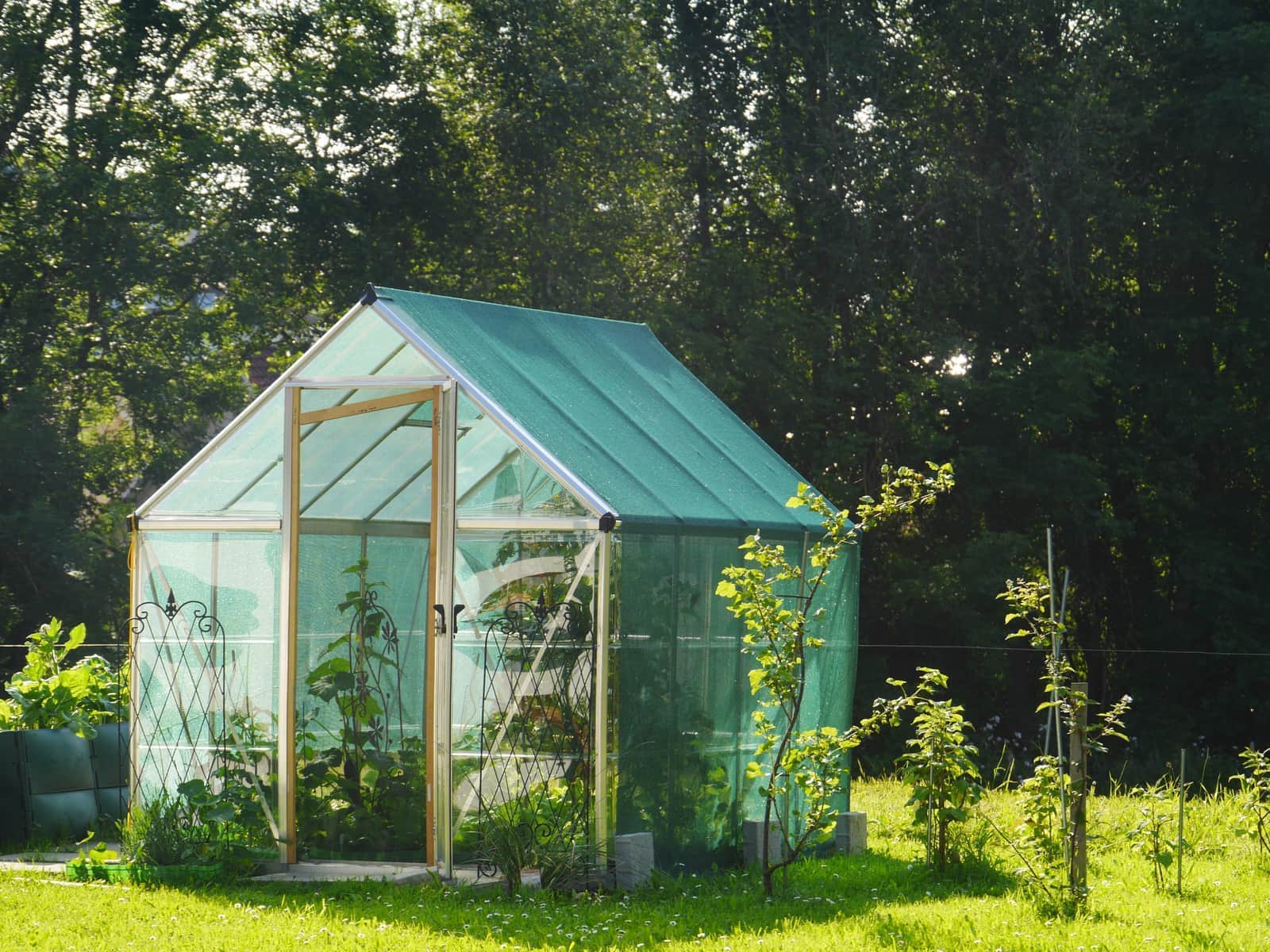 Geothermal GAHT Systems project by KC Greenhouse Builders